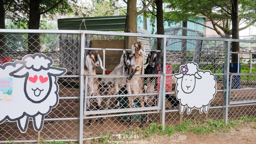 南投縣南投市茶二指故事館｜南投親子景點｜手指與茶的故事，搭配著可愛的園區設計，小朋友來都不願回家！消費滿3000可以