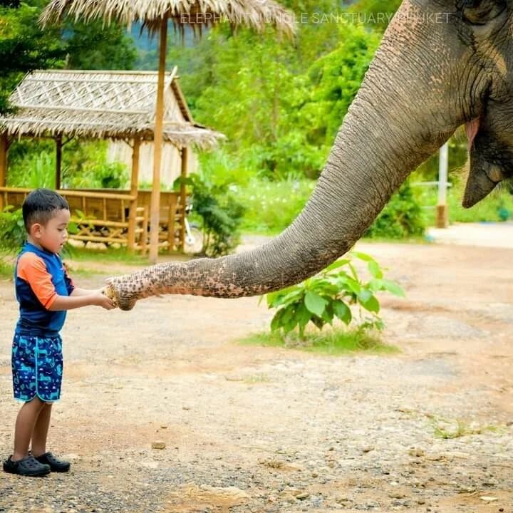 TOP8芭達雅必去景點推薦:水上市集、寺廟全都有,包車輕鬆玩全島!
