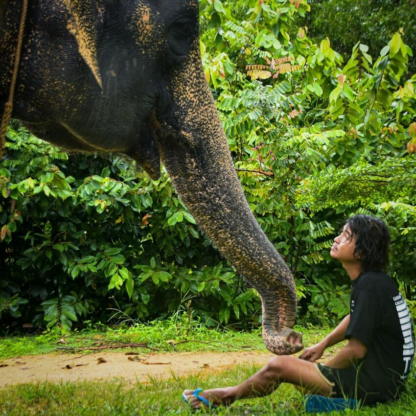 TOP8芭達雅必去景點推薦:水上市集、寺廟全都有,包車輕鬆玩全島!