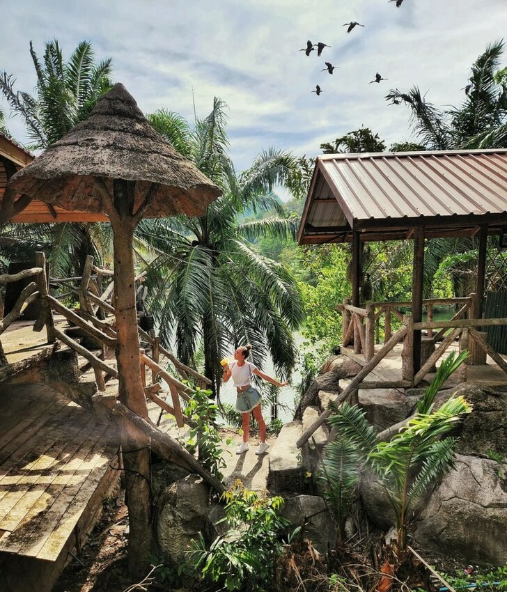 TOP8芭達雅必去景點推薦:水上市集、寺廟全都有,包車輕鬆玩全島!