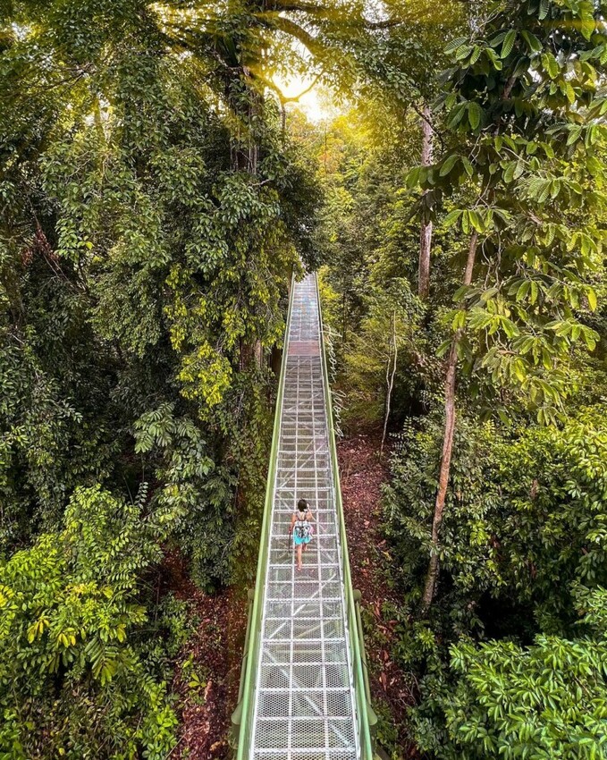 馬來西亞包車旅遊｜吉隆坡、檳城、沙巴包車推薦：機場接送、一日遊、多日遊都沒問題！
