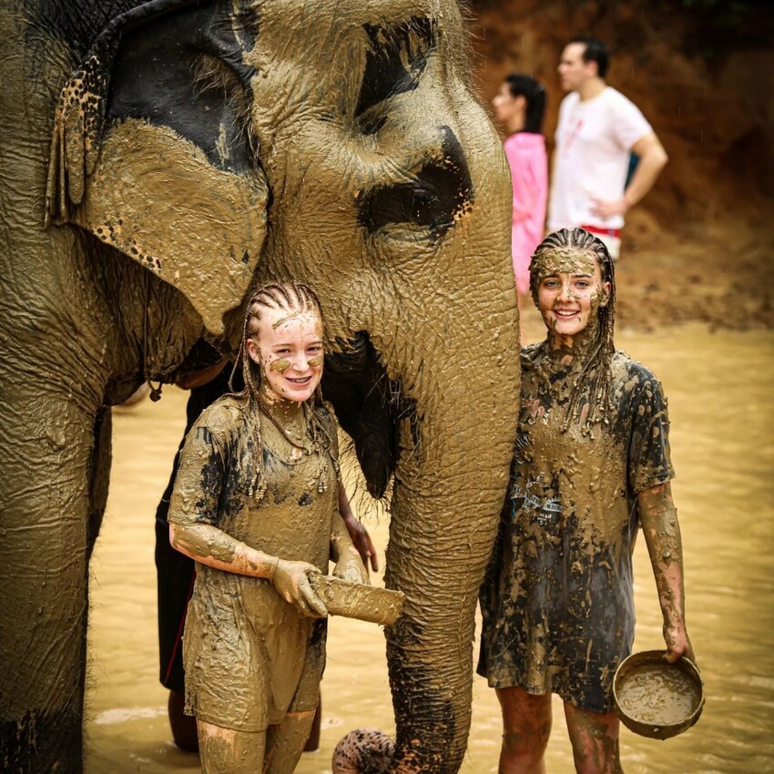 TOP8芭達雅必去景點推薦:水上市集、寺廟全都有,包車輕鬆玩全島!