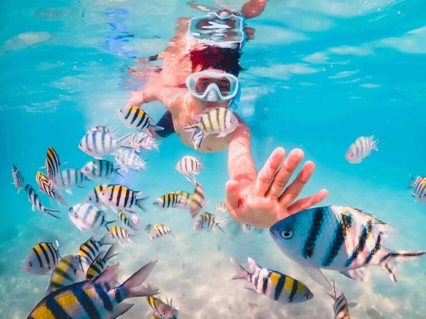 TOP8芭達雅必去景點推薦:水上市集、寺廟全都有,包車輕鬆玩全島!