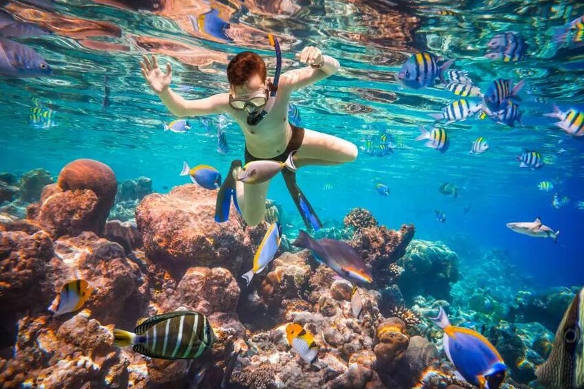 TOP8芭達雅必去景點推薦:水上市集、寺廟全都有,包車輕鬆玩全島!