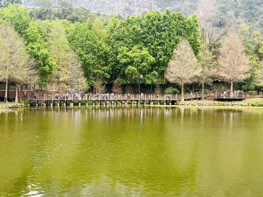 南投車埕火車站：車埕貯木池環湖步道、車埕木業展示館（休館中）、車埕車站、車埕鐵道觀光小學堂、路易莎咖啡、木茶房木桶便當