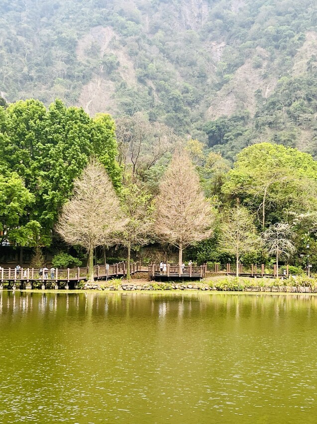 南投車埕火車站：車埕貯木池環湖步道、車埕木業展示館（休館中）、車埕車站、車埕鐵道觀光小學堂、路易莎咖啡、木茶房木桶便當