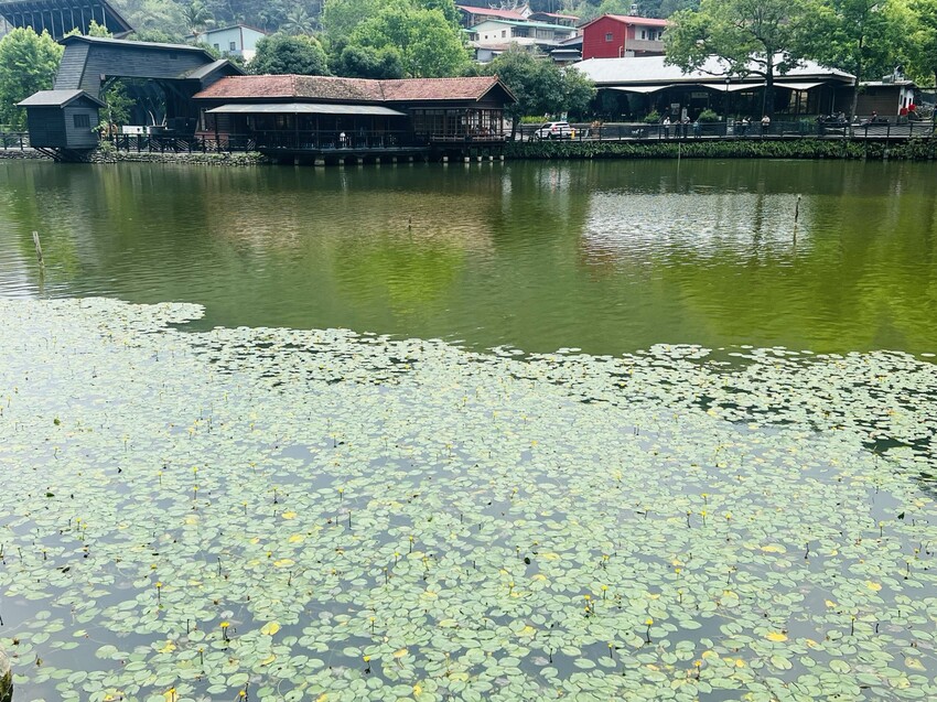 南投車埕火車站：車埕貯木池環湖步道、車埕木業展示館（休館中）、車埕車站、車埕鐵道觀光小學堂、路易莎咖啡、木茶房木桶便當