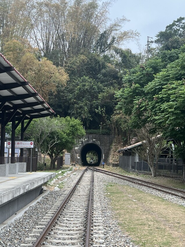 南投車埕火車站：車埕貯木池環湖步道、車埕木業展示館（休館中）、車埕車站、車埕鐵道觀光小學堂、路易莎咖啡、木茶房木桶便當