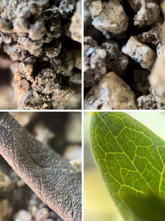 [手機配件開箱] APEXEL JeweLens [手機鏡頭開箱] APEXEL JeweLens 120倍鑒定鏡頭｜裸視、手持兩用｜一秒升級專業微距｜高清放大120倍！120倍鑒定鏡頭(APL-MS