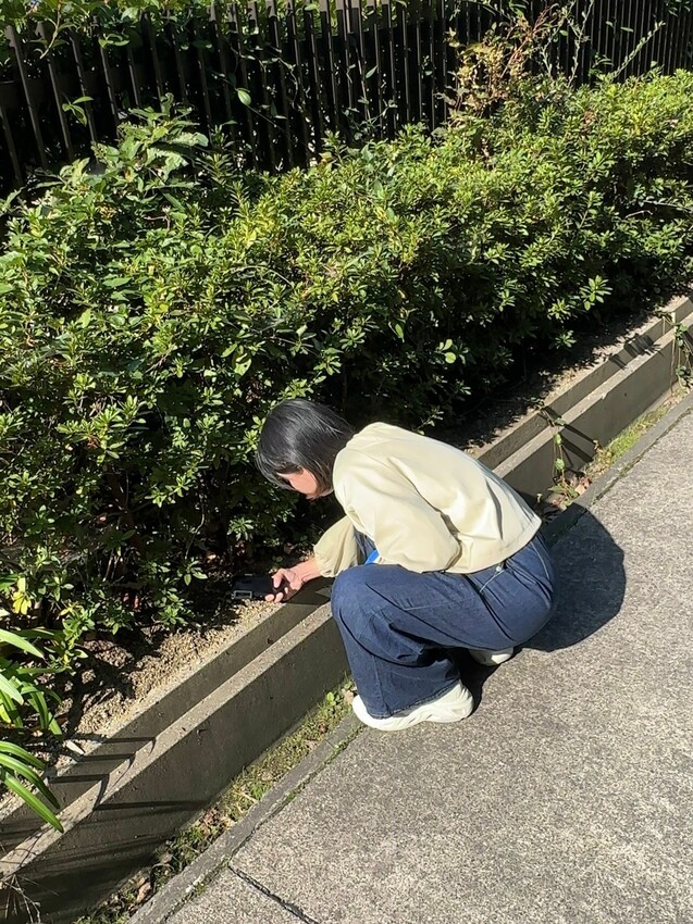 [手機配件開箱] APEXEL JeweLens [手機鏡頭開箱] APEXEL JeweLens 120倍鑒定鏡頭｜裸視、手持兩用｜一秒升級專業微距｜高清放大120倍！120倍鑒定鏡頭(APL-MS