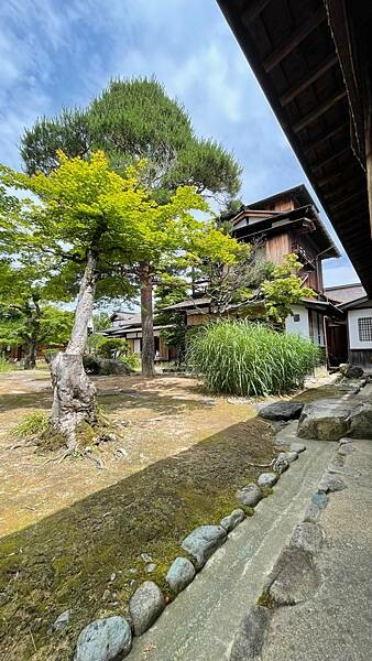 日本2024名古屋自由行-國家級古蹟-高山陣屋(陣屋朝市)