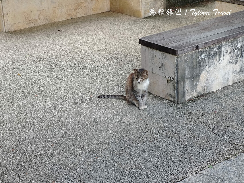沖繩世界文化遺產!琉球王國庭園「識名園」沖繩隱藏景點。