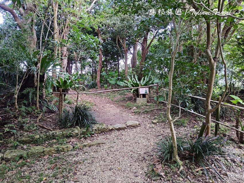 沖繩世界文化遺產!琉球王國庭園「識名園」沖繩隱藏景點。