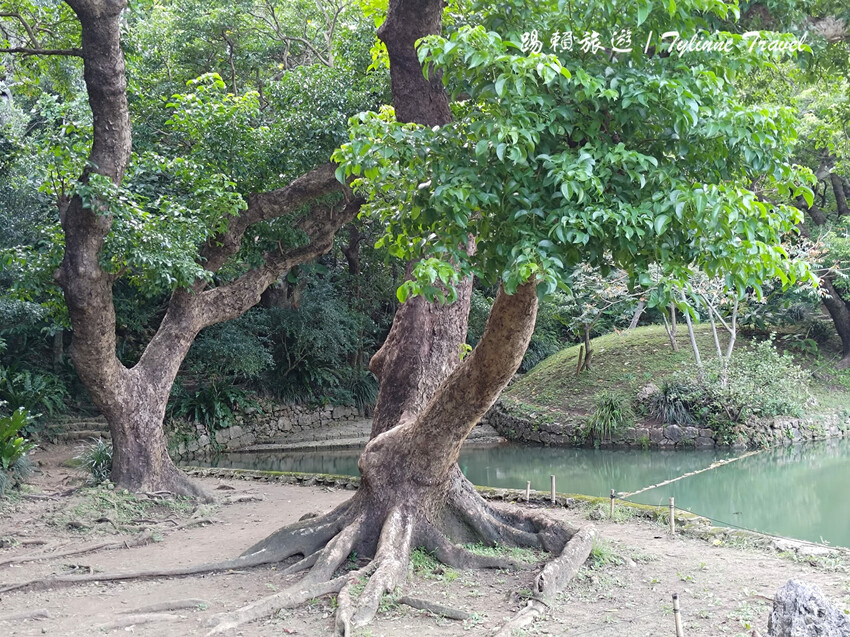 沖繩世界文化遺產!琉球王國庭園「識名園」沖繩隱藏景點。