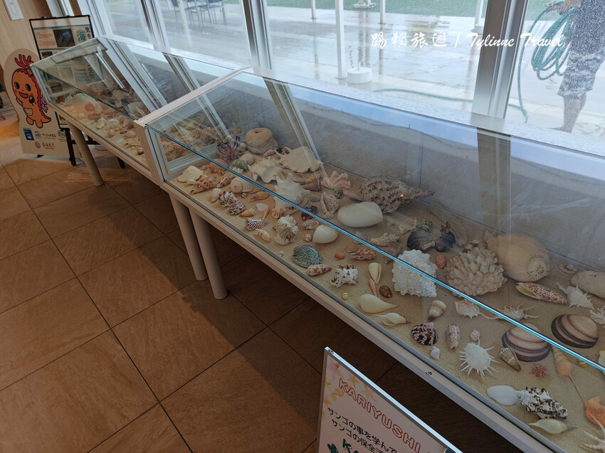 沖繩平價海景飯店「喜璃愈志LCH」每晚不到1500元，私人海灘超享受。