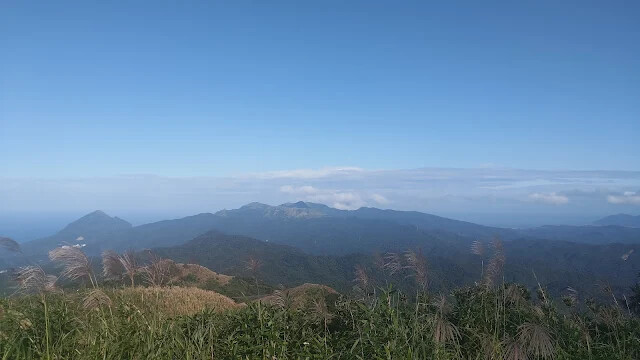 五分山氣象雷達站 - 芒草