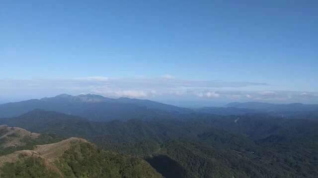 五分山氣象雷達站 - 芒草