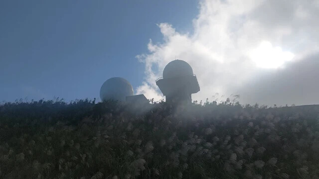 五分山氣象雷達站 - 芒草