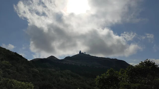 五分山氣象雷達站 - 芒草