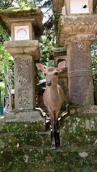 IMG_9570.jpg IMG_9570.jpg