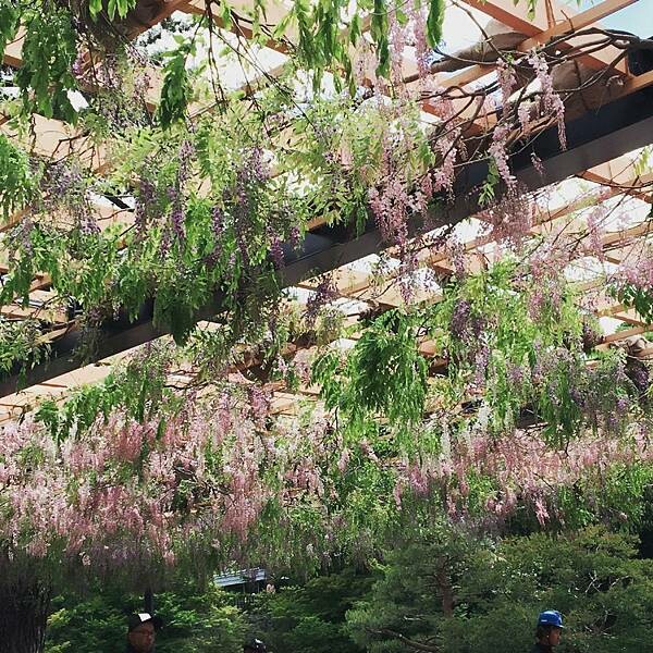 IMG_9474.JPG IMG_9474.JPG