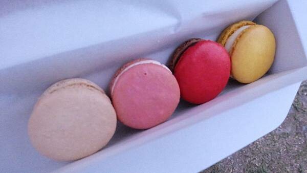 IMG_9419.JPG IMG_9419.JPG