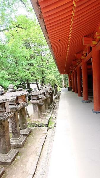 DSCF4602.jpg DSCF4602.jpg