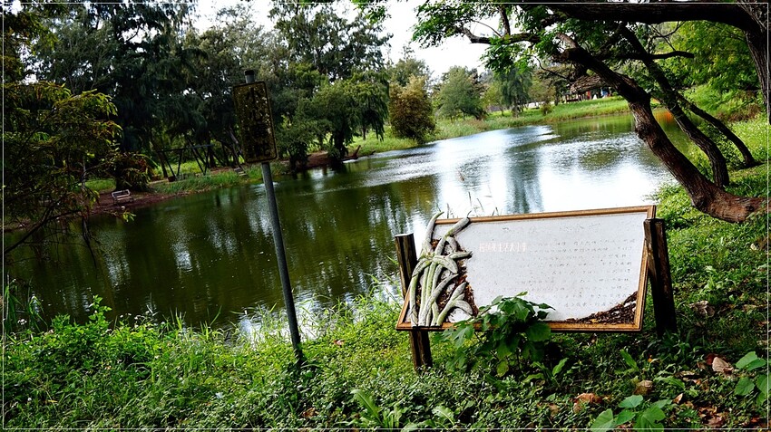 /tmp/phpx7kuu8 /tmp/phpx7kuu8