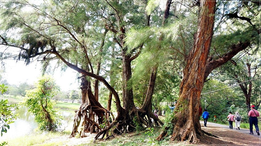 /tmp/php5iWLuf /tmp/php5iWLuf