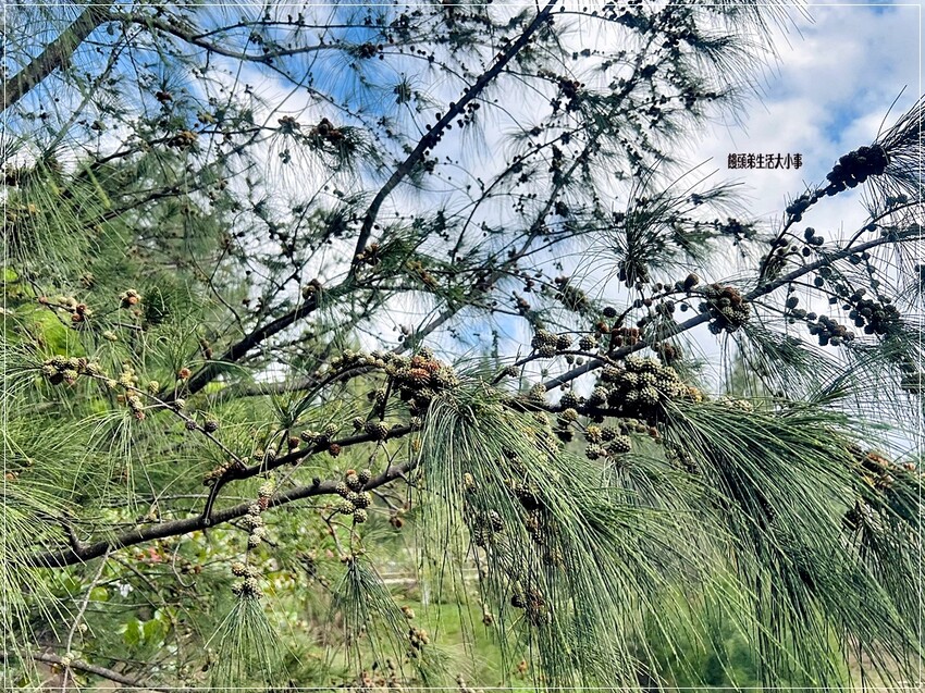 /tmp/phpfg8sb6 /tmp/phpfg8sb6