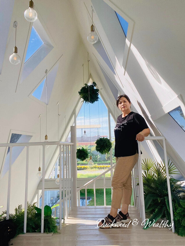 台南市善化區【台南善化】超夢幻景點「御飯糰玻璃屋」|宛若身處於純淨夢幻的林園中|