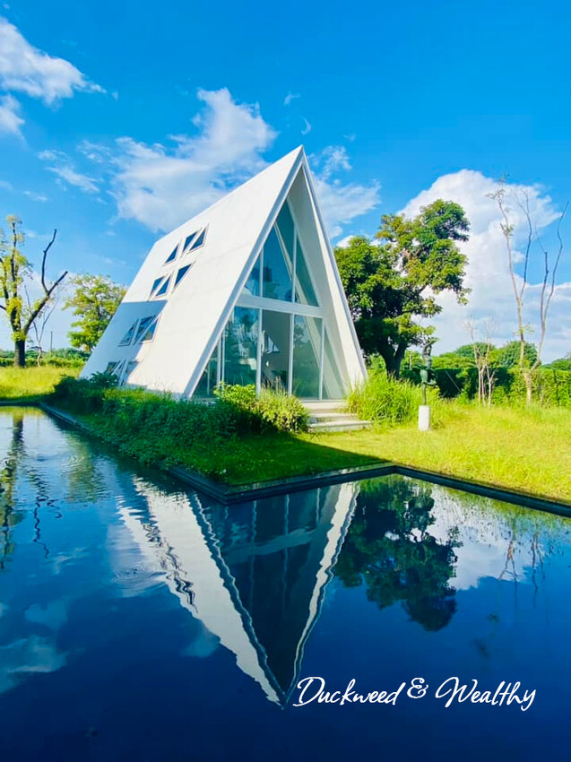 台南市善化區【台南善化】超夢幻景點「御飯糰玻璃屋」|宛若身處於純淨夢幻的林園中|