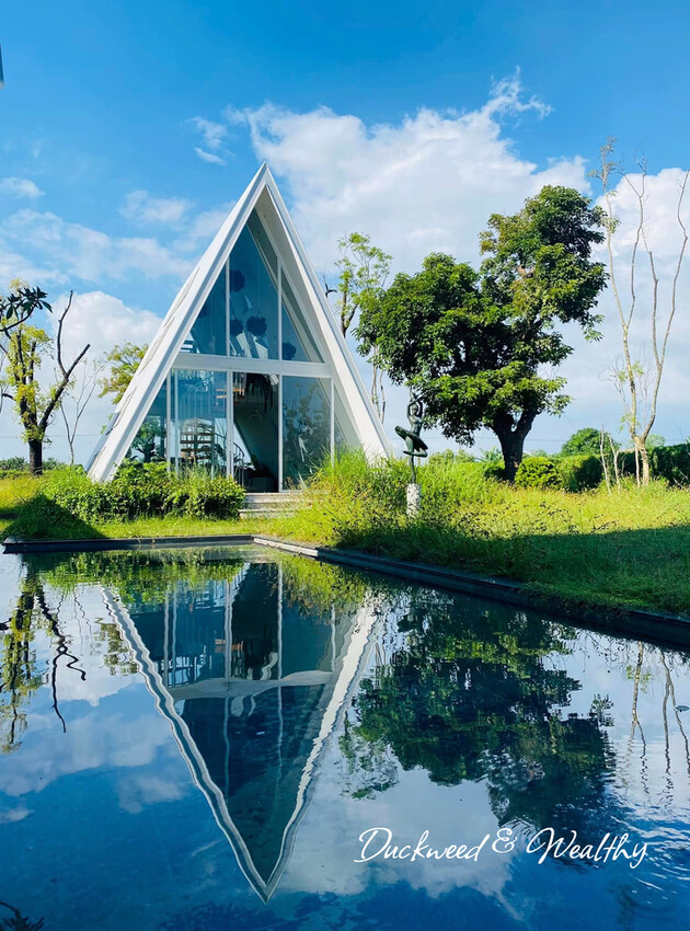 台南市善化區【台南善化】超夢幻景點「御飯糰玻璃屋」|宛若身處於純淨夢幻的林園中|