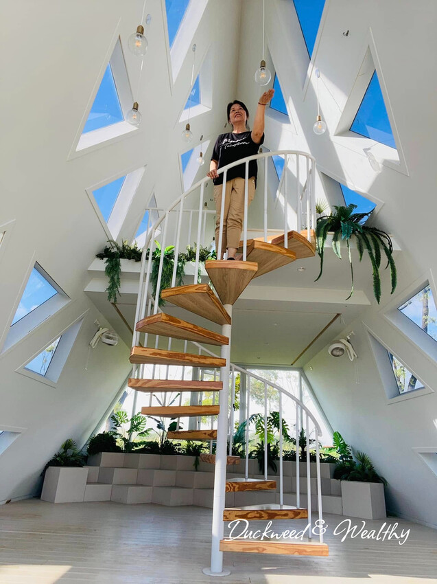 台南市善化區【台南善化】超夢幻景點「御飯糰玻璃屋」|宛若身處於純淨夢幻的林園中|