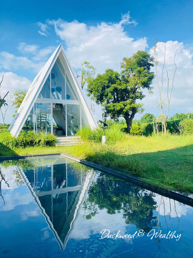 台南市善化區【台南善化】超夢幻景點「御飯糰玻璃屋」|宛若身處於純淨夢幻的林園中|