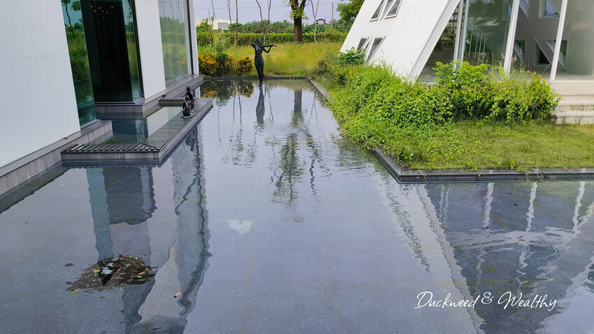 台南市善化區【台南善化】超夢幻景點「御飯糰玻璃屋」|宛若身處於純淨夢幻的林園中|