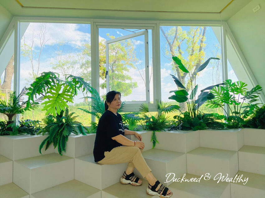 台南市善化區【台南善化】超夢幻景點「御飯糰玻璃屋」|宛若身處於純淨夢幻的林園中|