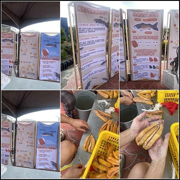 【雲林一日遊推薦】 雲林縣口湖鄉蚵寮社區三寶節活動,☑不間斷 【雲林一日遊推薦】 雲林縣口湖鄉蚵寮社區三寶節活動,☑不間斷