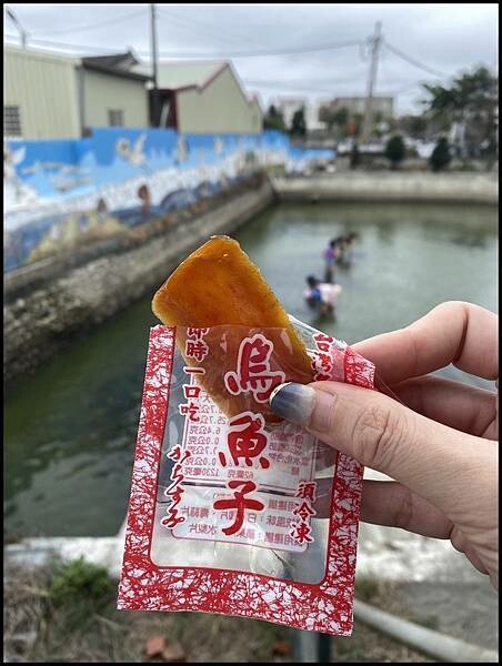 【雲林一日遊推薦】 雲林縣口湖鄉蚵寮社區三寶節活動,☑不間斷 【雲林一日遊推薦】 雲林縣口湖鄉蚵寮社區三寶節活動,☑不間斷