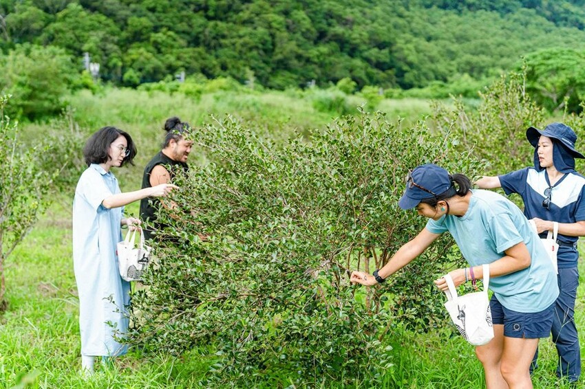 宜蘭南澳「朝陽早秋一日散策」,走朝陽步道看日出、朝陽神秘海灘