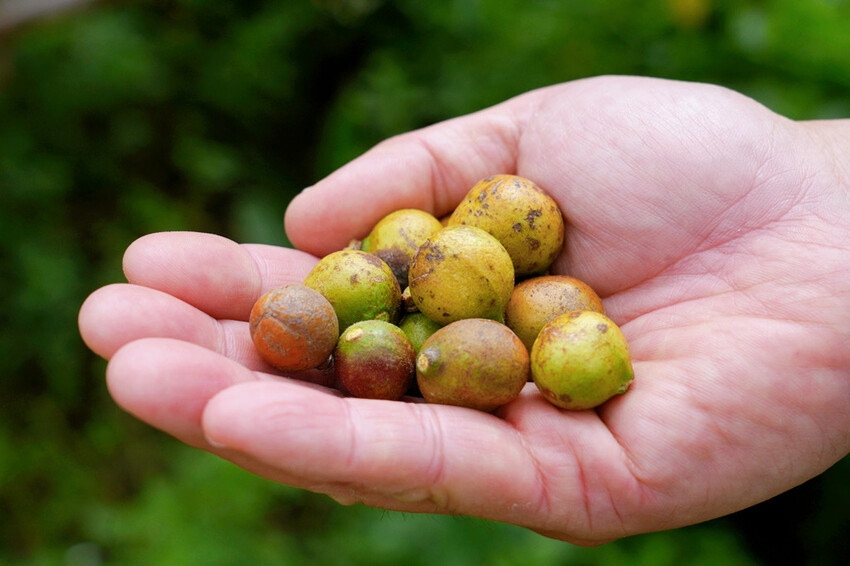 宜蘭南澳「朝陽早秋一日散策」,走朝陽步道看日出、朝陽神秘海灘