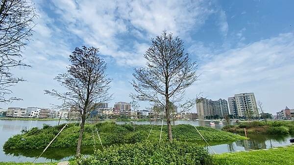 IMG_5736.jpg IMG_5736.jpg