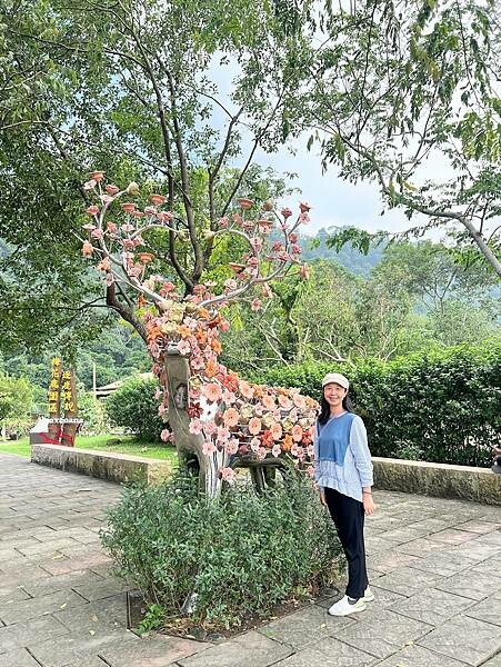 IMG_4914 (1).JPG IMG_4914 (1).JPG