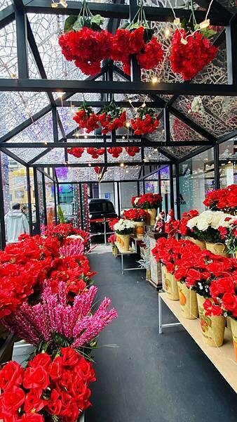 IMG_9204.jpg IMG_9204.jpg