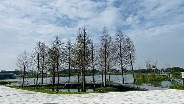 IMG_5571.jpg IMG_5571.jpg