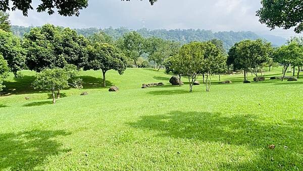 IMG_6401.jpg IMG_6401.jpg