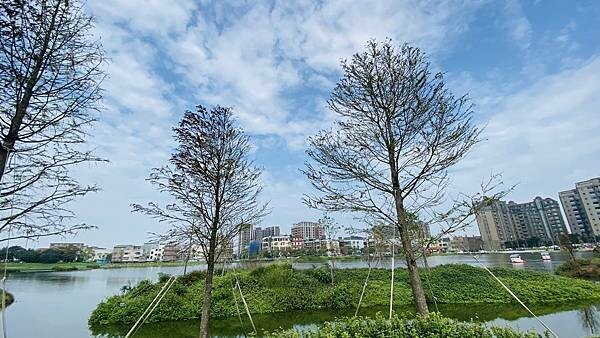 IMG_5734.jpg IMG_5734.jpg