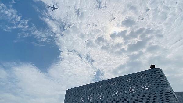 IMG_5713.jpg IMG_5713.jpg