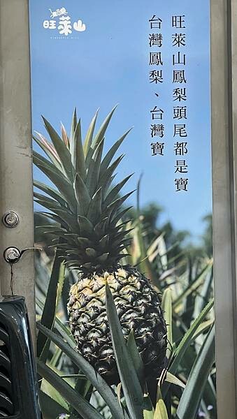 IMG_4998.JPG IMG_4998.JPG