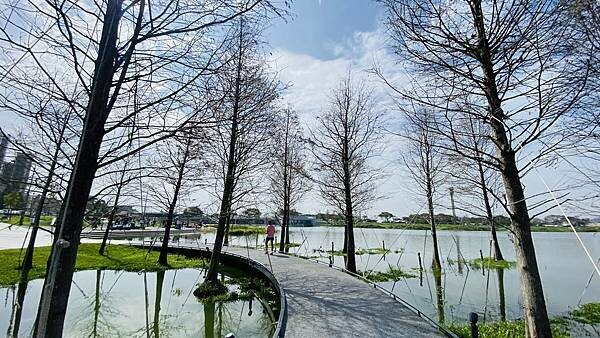 IMG_5575.jpg IMG_5575.jpg